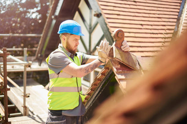 Best Storm Damage Roof Repair  in Coldwater, MI